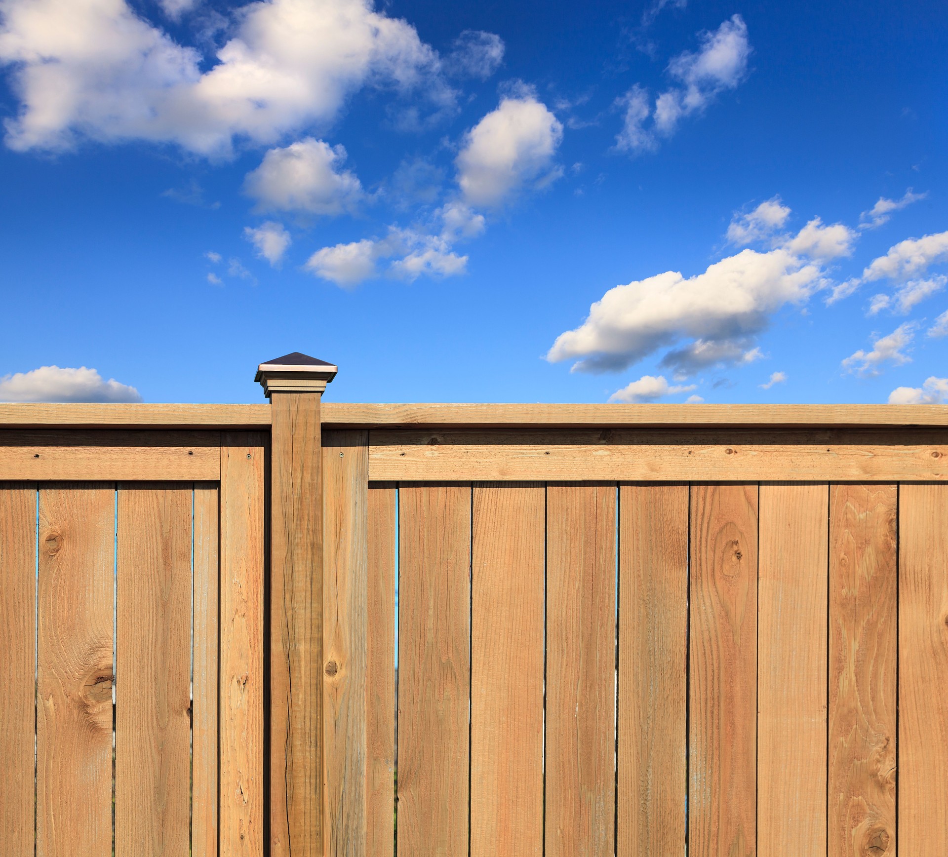 New cedar fence