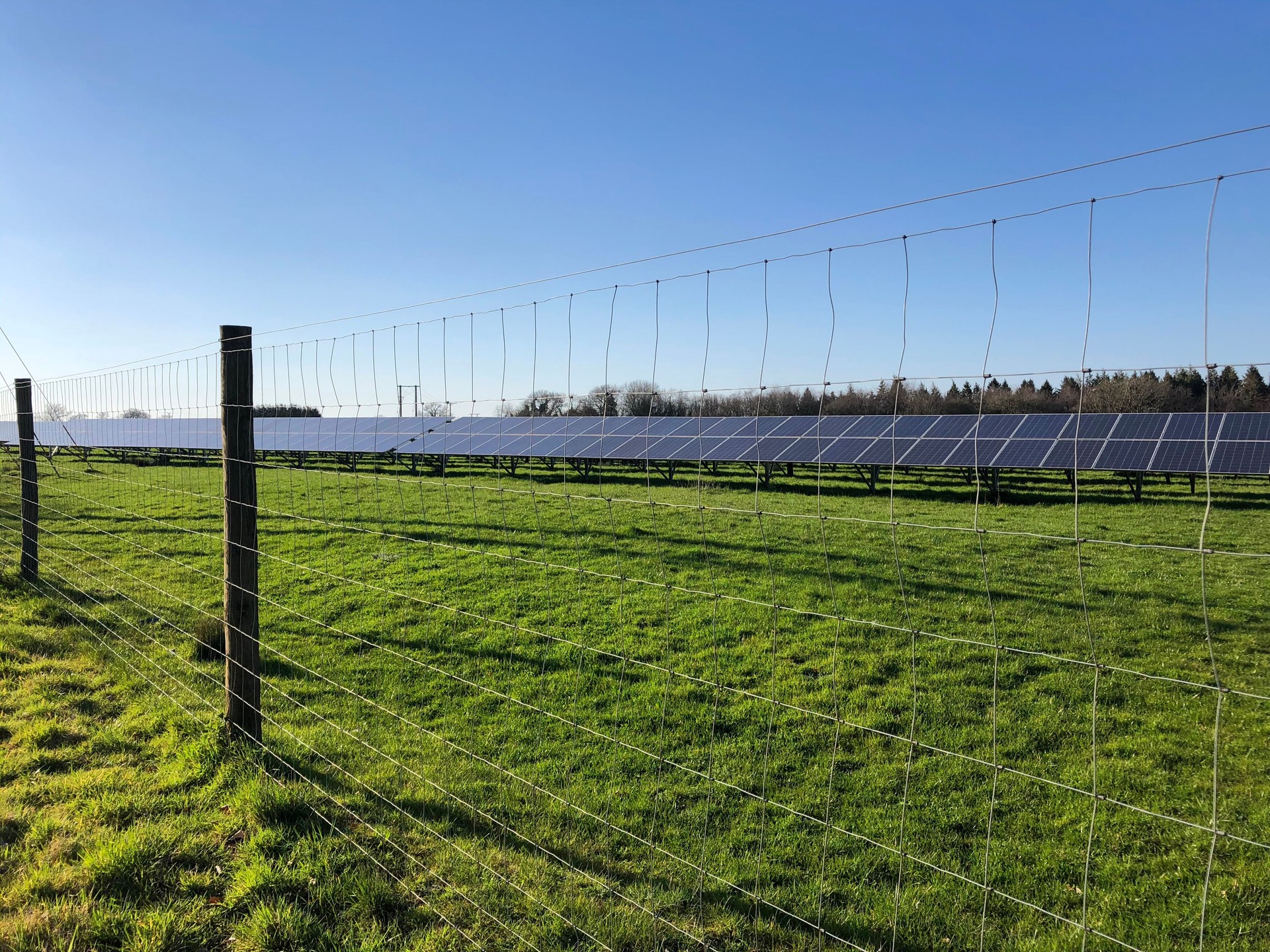 Image of wire mesh fence before solar panels on farm field, environmentally friendly energy, lush green grass, clear blue sky